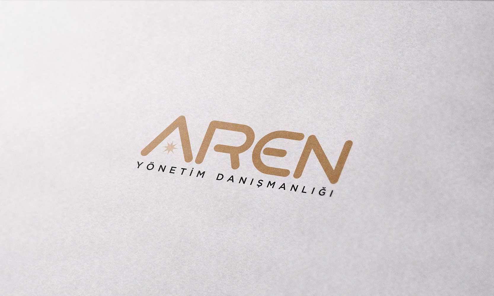 Aren Yönetim Danışmanlığı 176