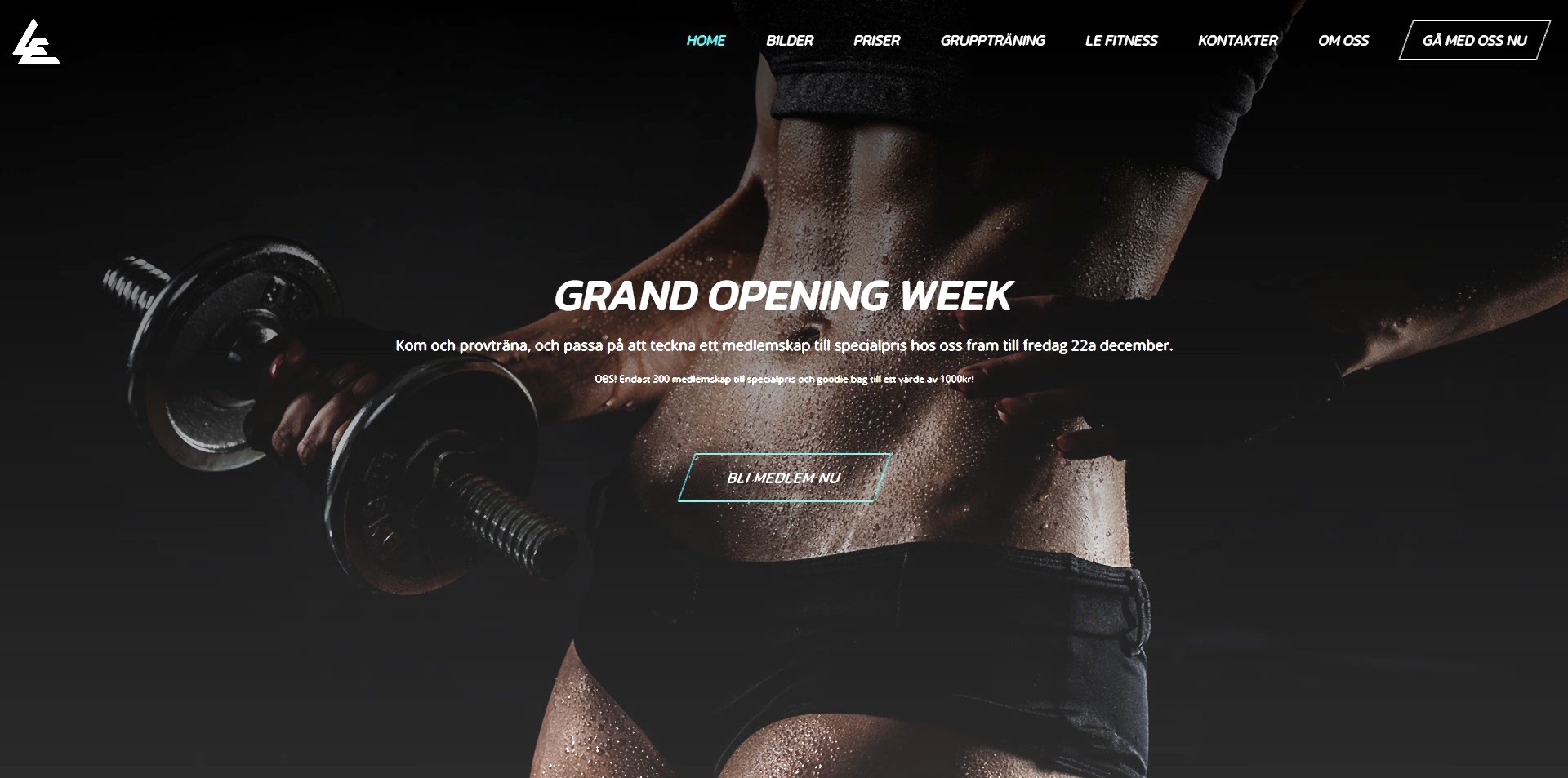 LE Fitness Sweden 285