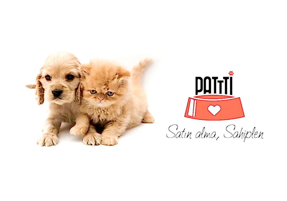 Patti Hayvan Sahiplendirme Sitesi 110